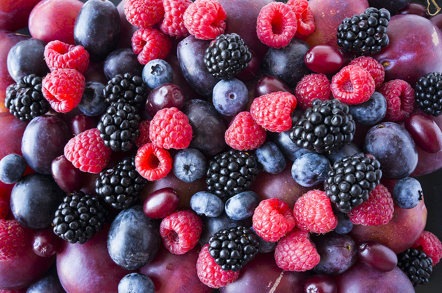 Are nitrile gloves food safe?